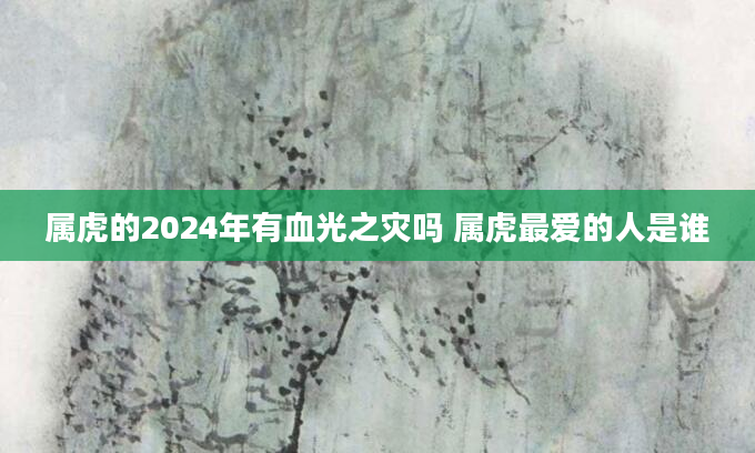 属虎的2024年有血光之灾吗 属虎最爱的人是谁