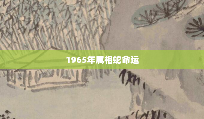 1965年属相蛇命运