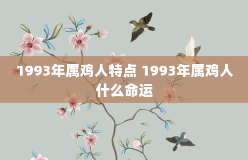 1993年属鸡人特点 1993年属鸡人什么命运