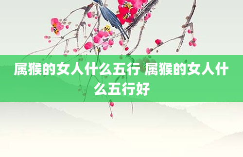 属猴的女人什么五行 属猴的女人什么五行好