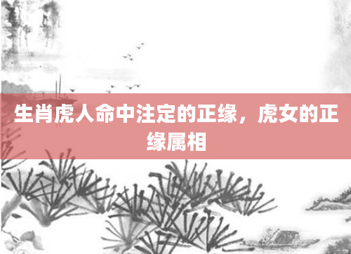 生肖虎人命中注定的正缘，虎女的正缘属相
