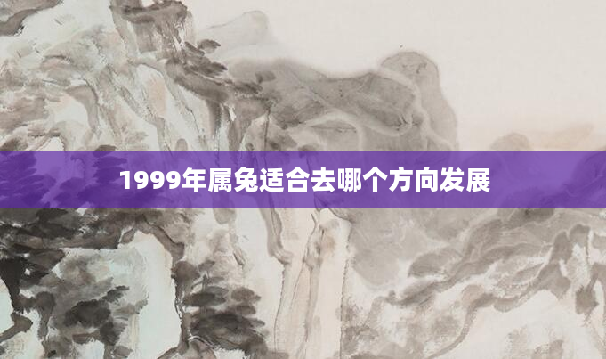 1999年属兔适合去哪个方向发展