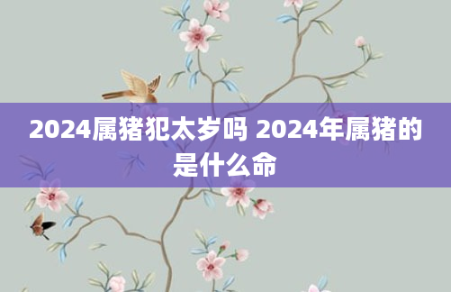 2024属猪犯太岁吗 2024年属猪的是什么命