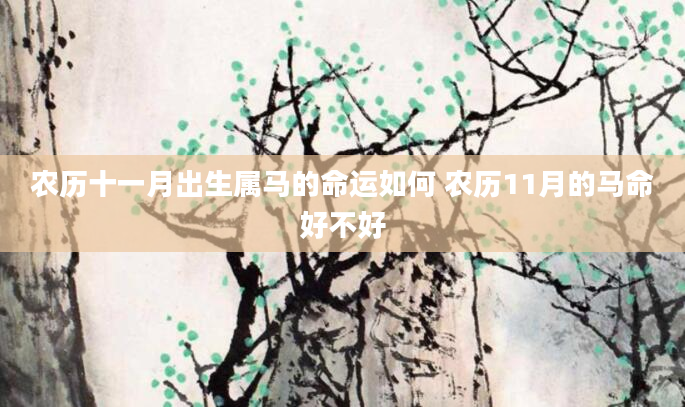 农历十一月出生属马的命运如何 农历11月的马命好不好
