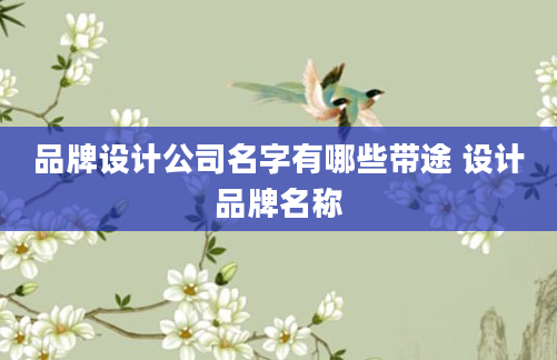 品牌设计公司名字有哪些带途 设计品牌名称