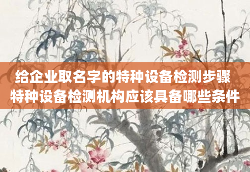 给企业取名字的特种设备检测步骤 特种设备检测机构应该具备哪些条件