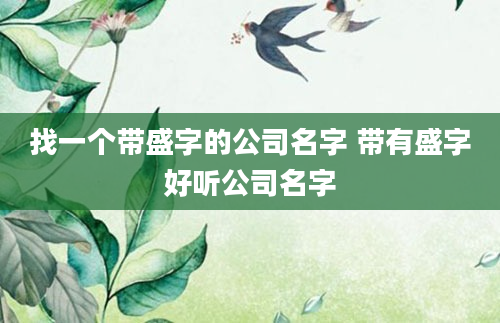 找一个带盛字的公司名字 带有盛字好听公司名字