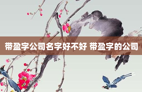 带盈字公司名字好不好 带盈字的公司