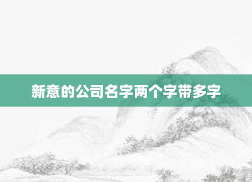 新意的公司名字两个字带多字