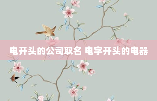 电开头的公司取名 电字开头的电器