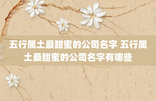 五行属土最甜蜜的公司名字 五行属土最甜蜜的公司名字有哪些