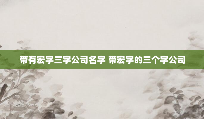 带有宏字三字公司名字 带宏字的三个字公司