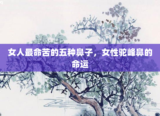女人最命苦的五种鼻子，女性驼峰鼻的命运