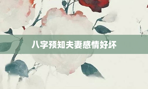 八字预知夫妻感情好坏