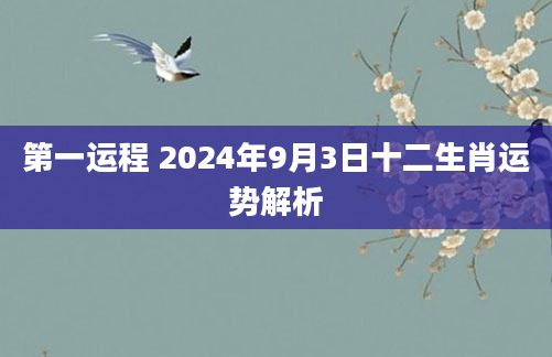 第一运程 2024年9月3日十二生肖运势解析