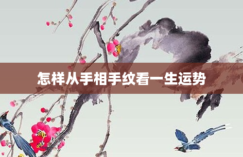 怎样从手相手纹看一生运势