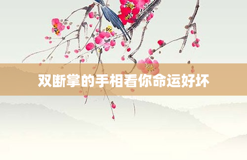 双断掌的手相看你命运好坏