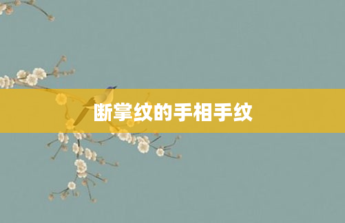 断掌纹的手相手纹