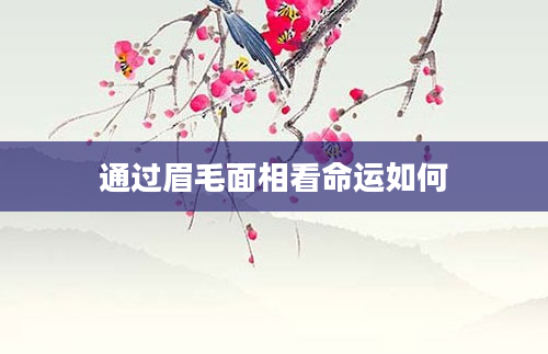 通过眉毛面相看命运如何