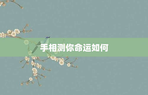 手相测你命运如何