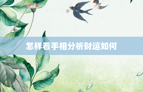 怎样看手相分析财运如何