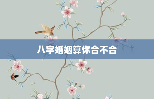八字婚姻算你合不合