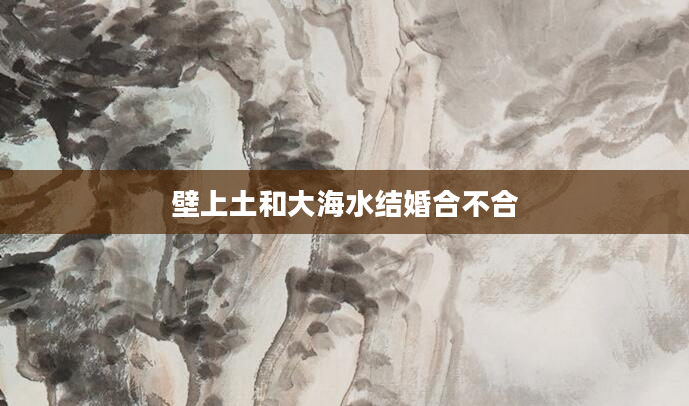 壁上土和大海水结婚合不合