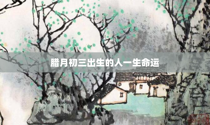 腊月初三出生的人一生命运