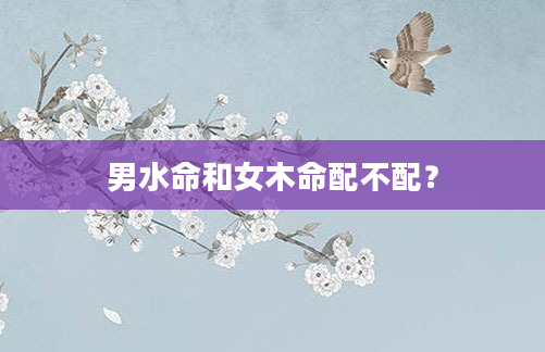 男水命和女木命配不配？