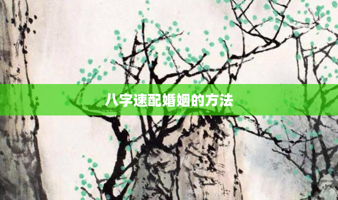 八字速配婚姻的方法