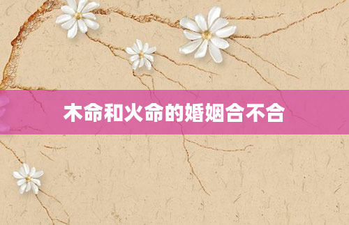 木命和火命的婚姻合不合