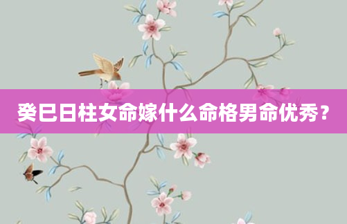 癸巳日柱女命嫁什么命格男命优秀？