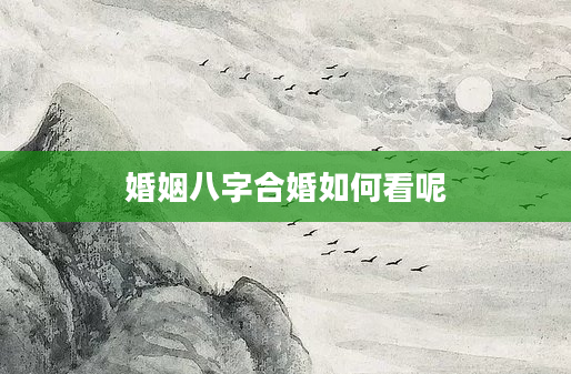 婚姻八字合婚如何看呢