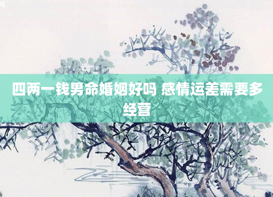 四两一钱男命婚姻好吗 感情运差需要多经营