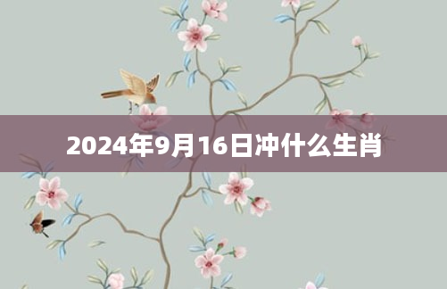 2024年9月16日冲什么生肖