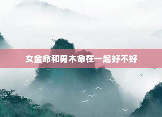 女金命和男木命在一起好不好