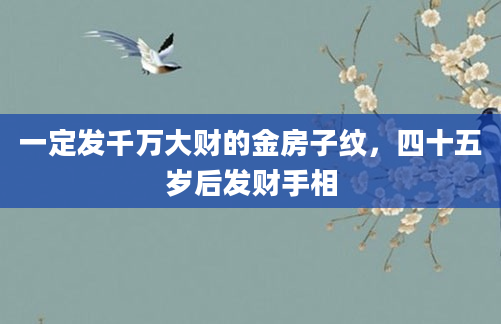 一定发千万大财的金房子纹，四十五岁后发财手相