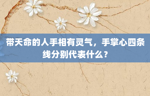 带天命的人手相有灵气，手掌心四条线分别代表什么？