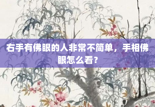 右手有佛眼的人非常不简单，手相佛眼怎么看？