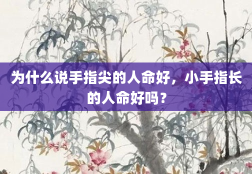 为什么说手指尖的人命好，小手指长的人命好吗？