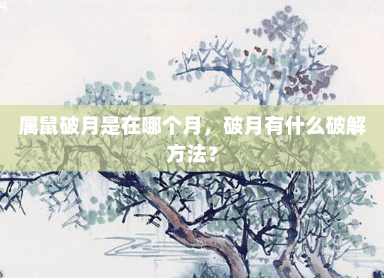 属鼠破月是在哪个月，破月有什么破解方法？