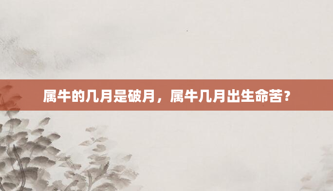 属牛的几月是破月，属牛几月出生命苦？