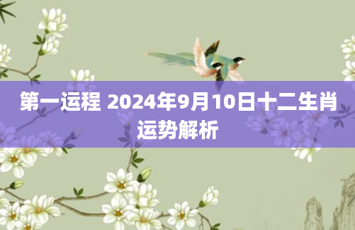 第一运程 2024年9月10日十二生肖运势解析