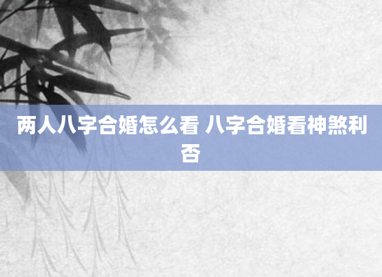 两人八字合婚怎么看 八字合婚看神煞利否