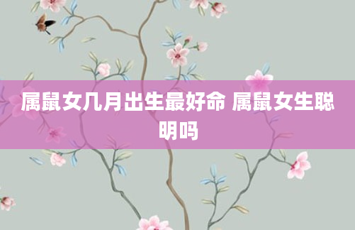 属鼠女几月出生最好命 属鼠女生聪明吗