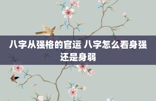 八字从强格的官运 八字怎么看身强还是身弱