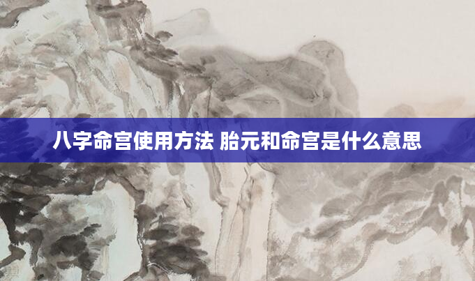 八字命宫使用方法 胎元和命宫是什么意思