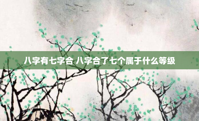 八字有七字合 八字合了七个属于什么等级