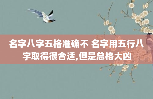名字八字五格准确不 名字用五行八字取得很合适,但是总格大凶