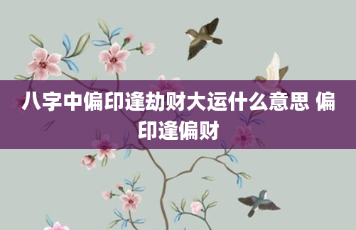 八字中偏印逢劫财大运什么意思 偏印逢偏财
